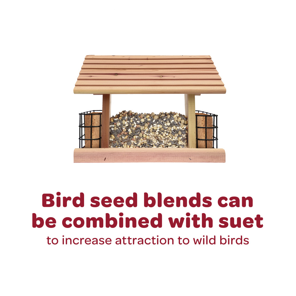 100064691-kaytee-striped-sunflower-wild-bird-food-5-pounds-13