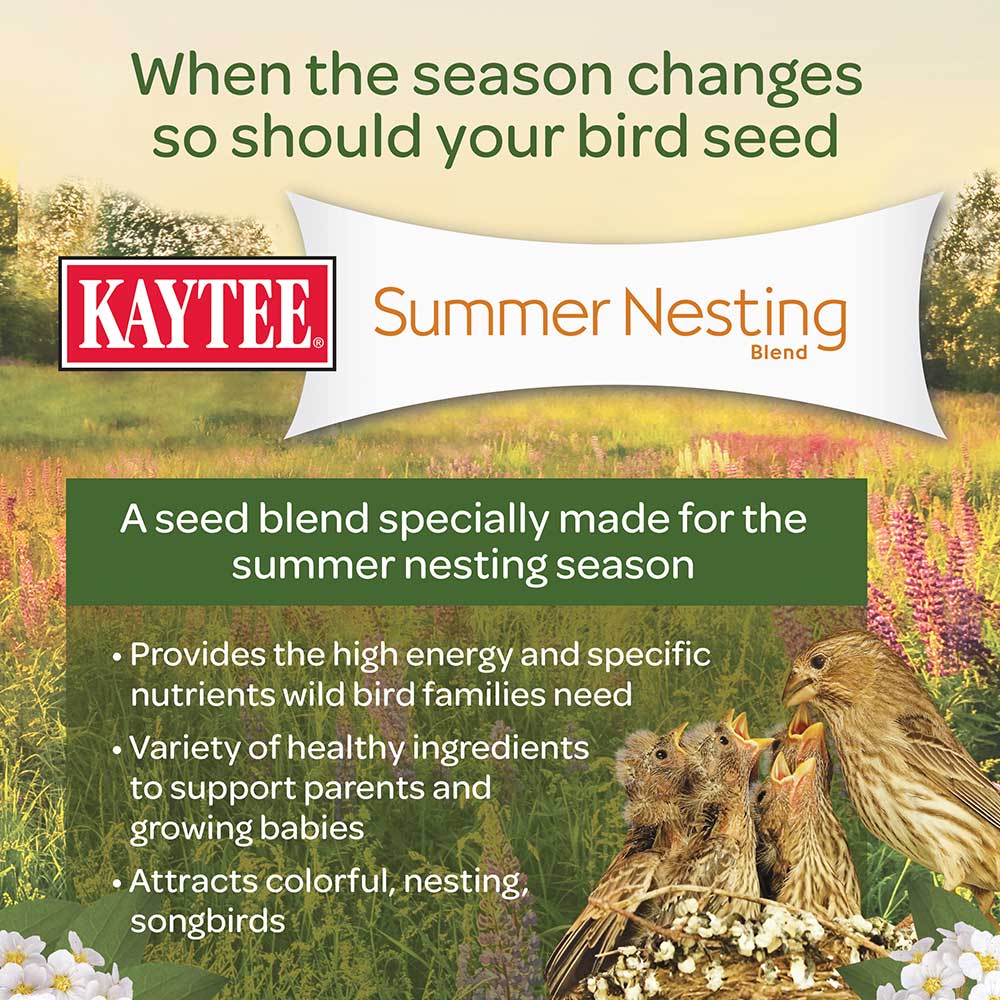 Kaytee-summer-time-nesting-bird-food