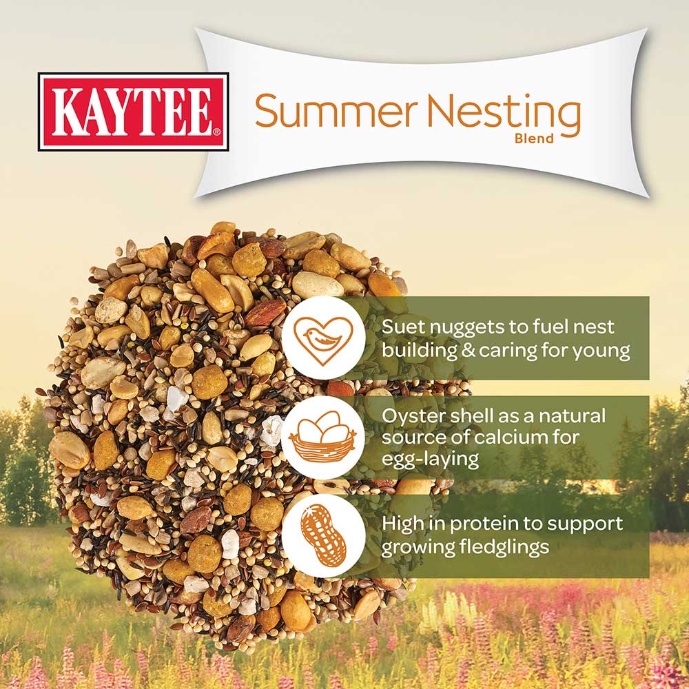Kaytee-summer-time-nesting-bird-food