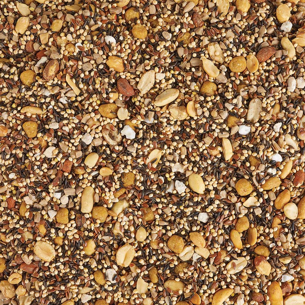 Kaytee-summer-time-nesting-bird-food