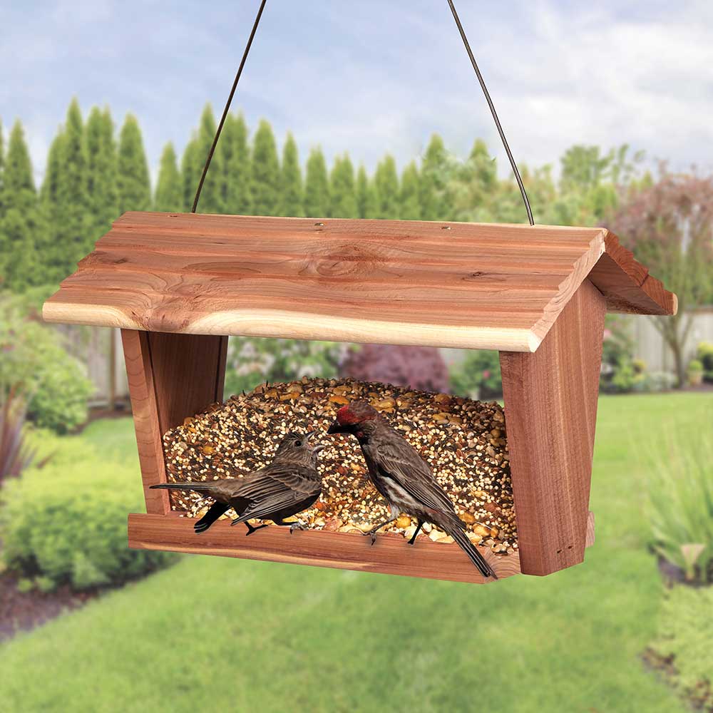 Kaytee-summer-time-nesting-bird-food