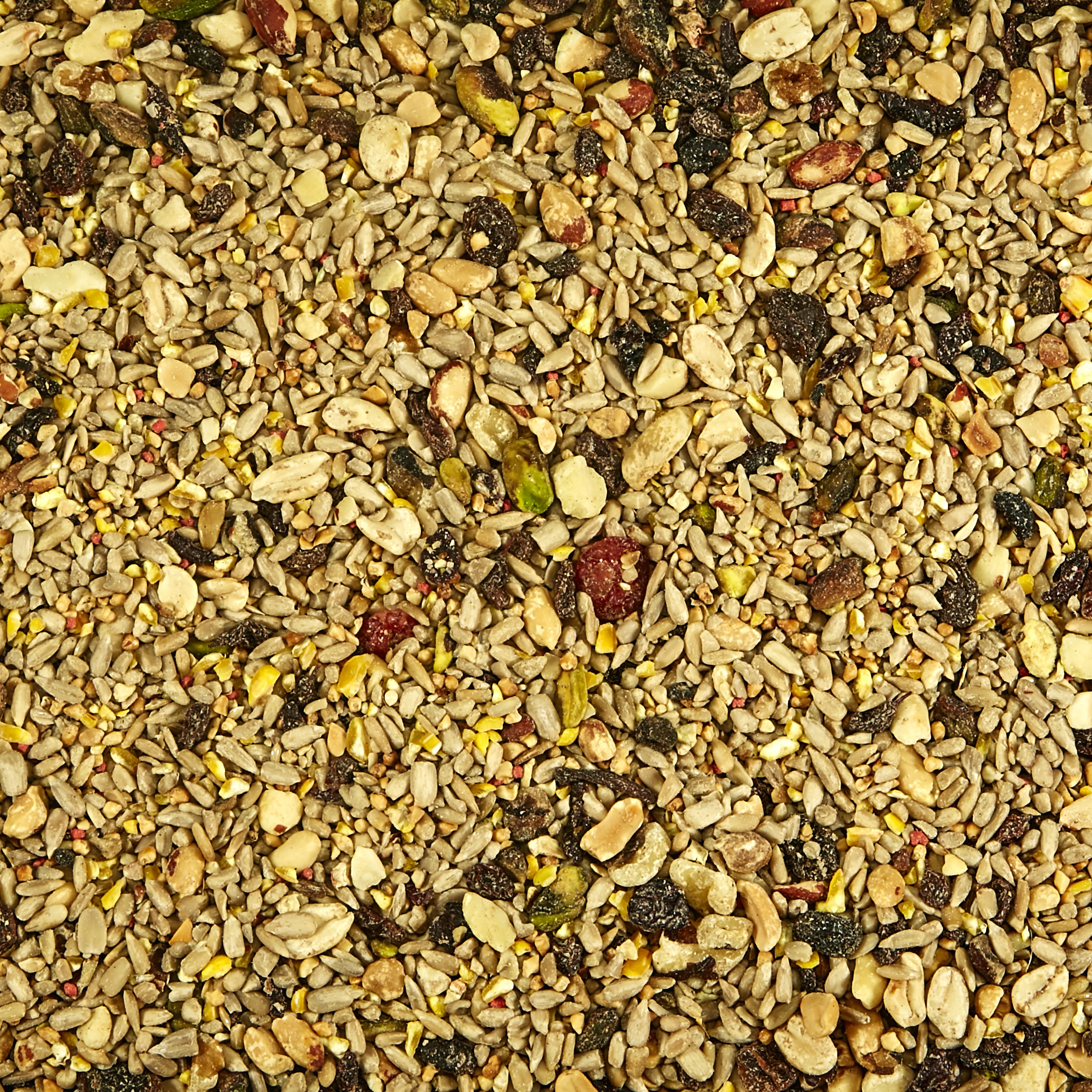 Kaytee Waste Free With Nut & Fruit