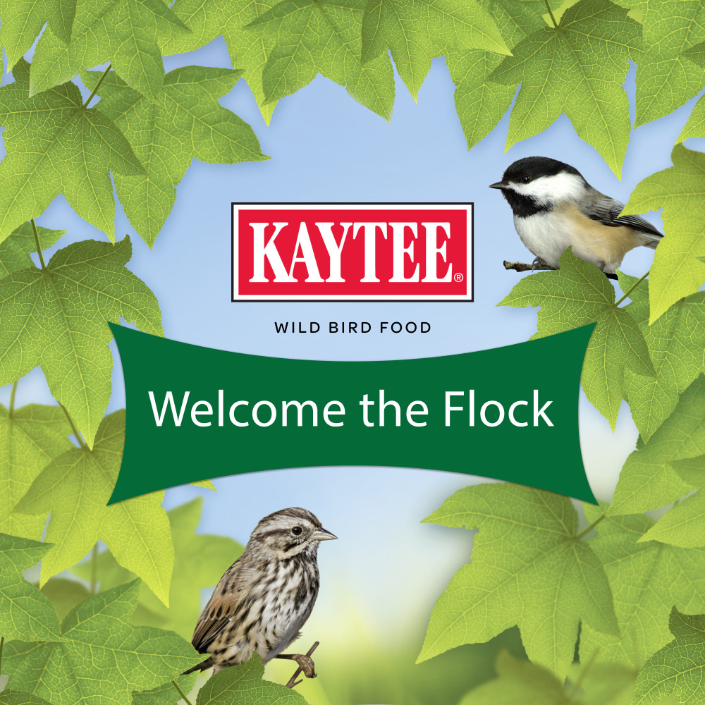 100061905-kaytee-wild-bird-food-5-pounds-10