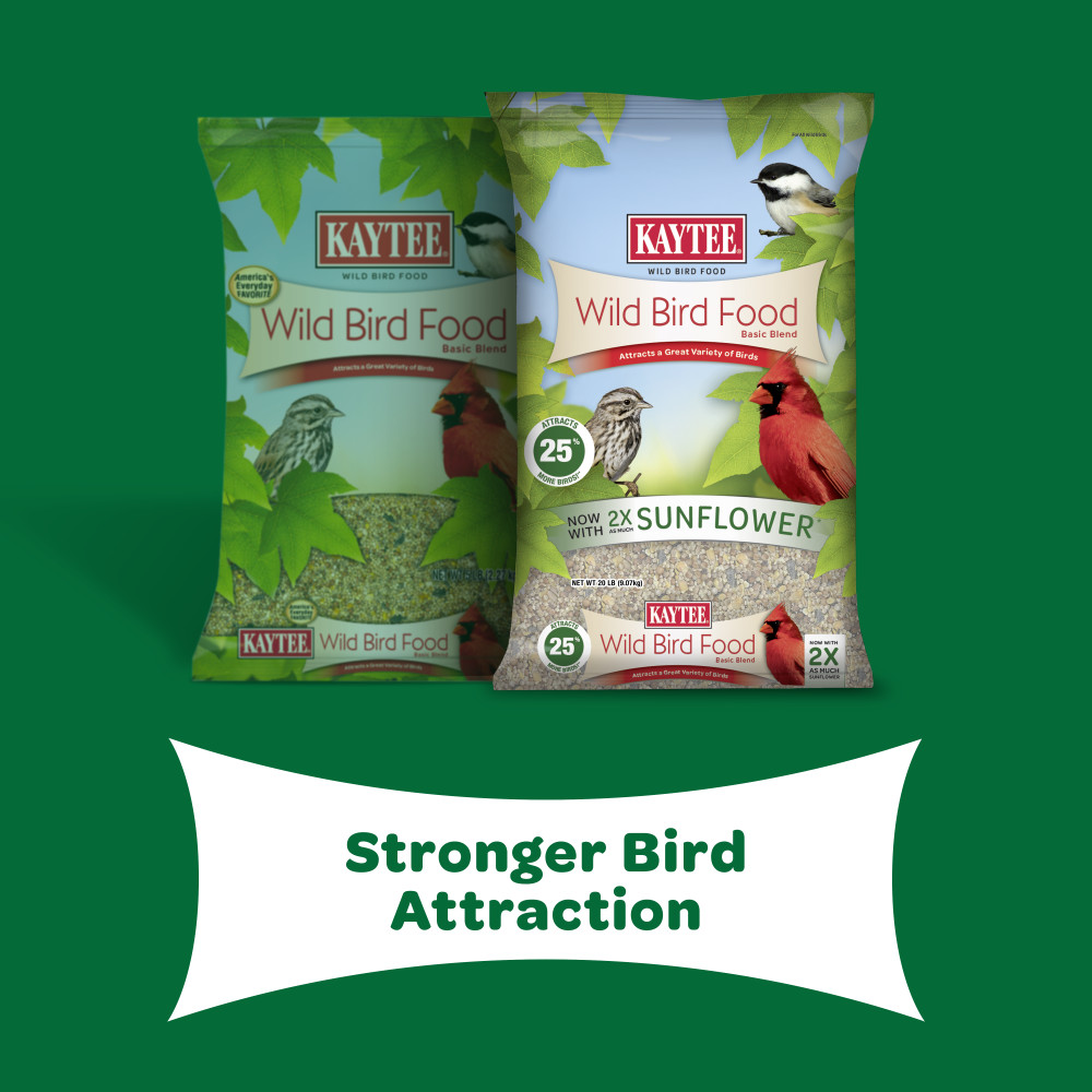 100061905-kaytee-wild-bird-food-5-pounds-11