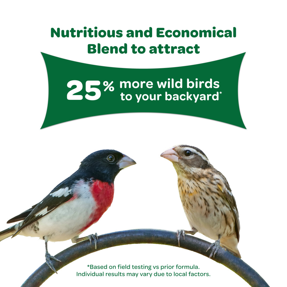 100061905-kaytee-wild-bird-food-5-pounds-4