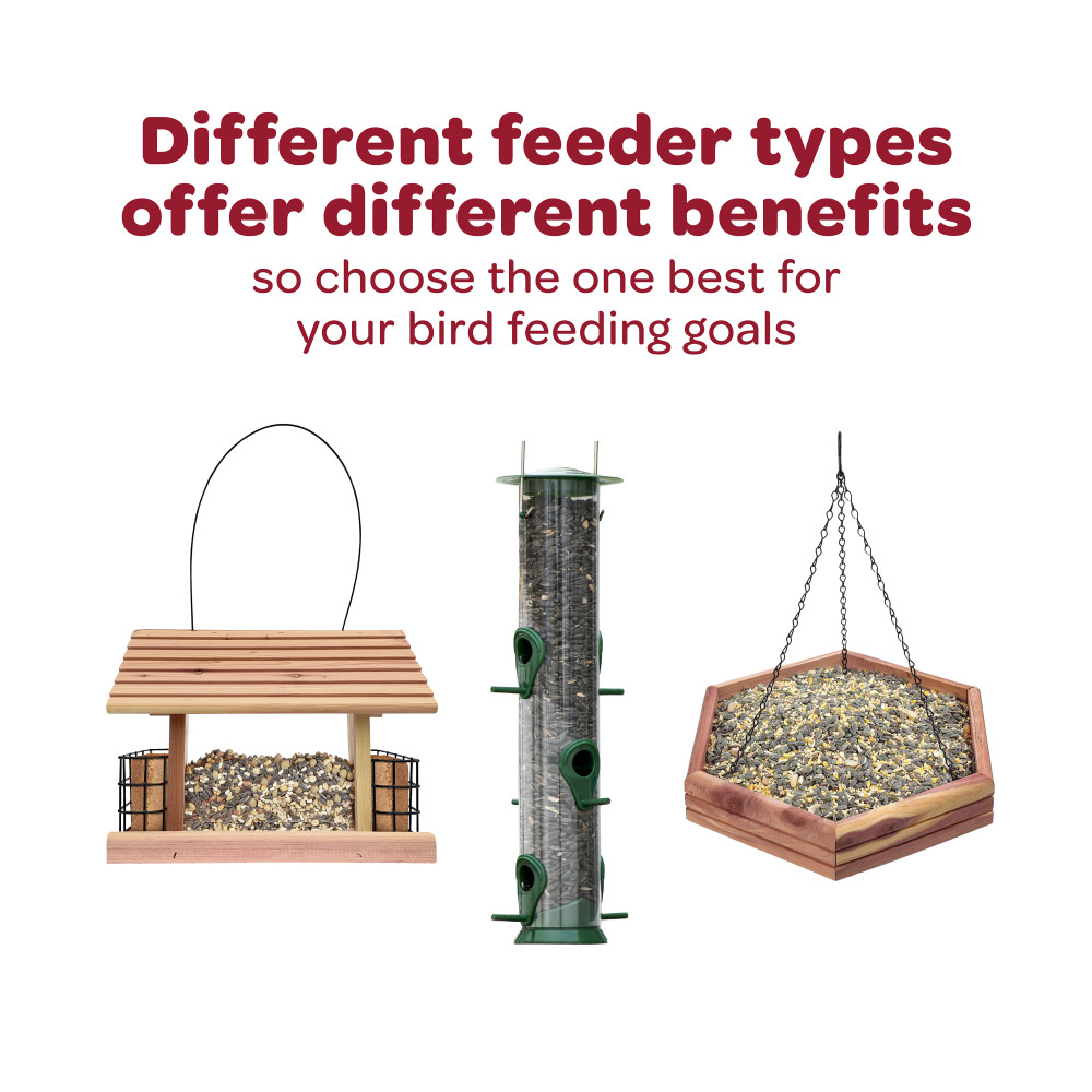 100537086-kaytee-wild-finch-bar-12-pack-kaytee-wild-finch-bars-5