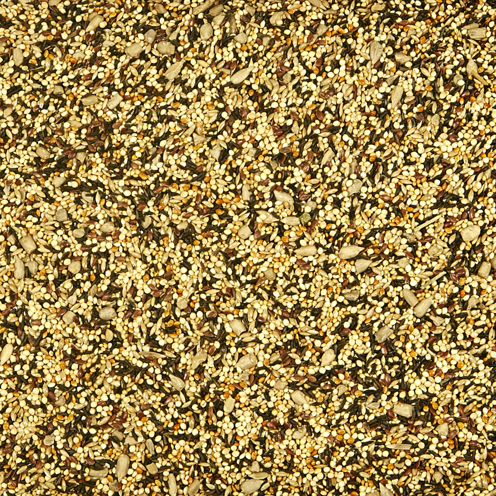 100064692-kaytee-wild-finch-blend-wild-bird-food-3-pounds-5