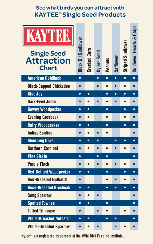 Kaytee Single Seed Attraction Chart
