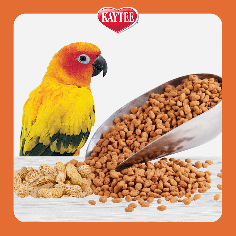 PB_BondingBits_LandingPage_LinkOut_AboutScoop_1000x1000