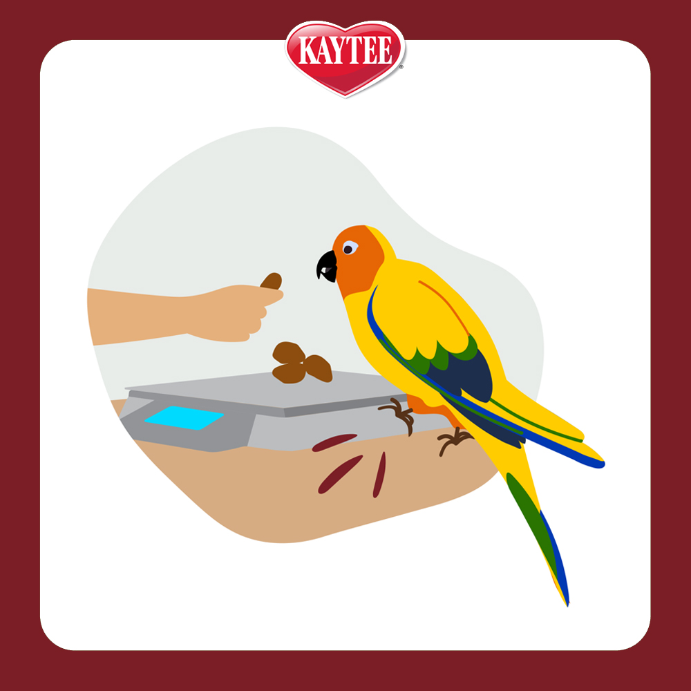 PB_BondingBits_LandingPage_LinkOut_GetOnScale_1000x1000