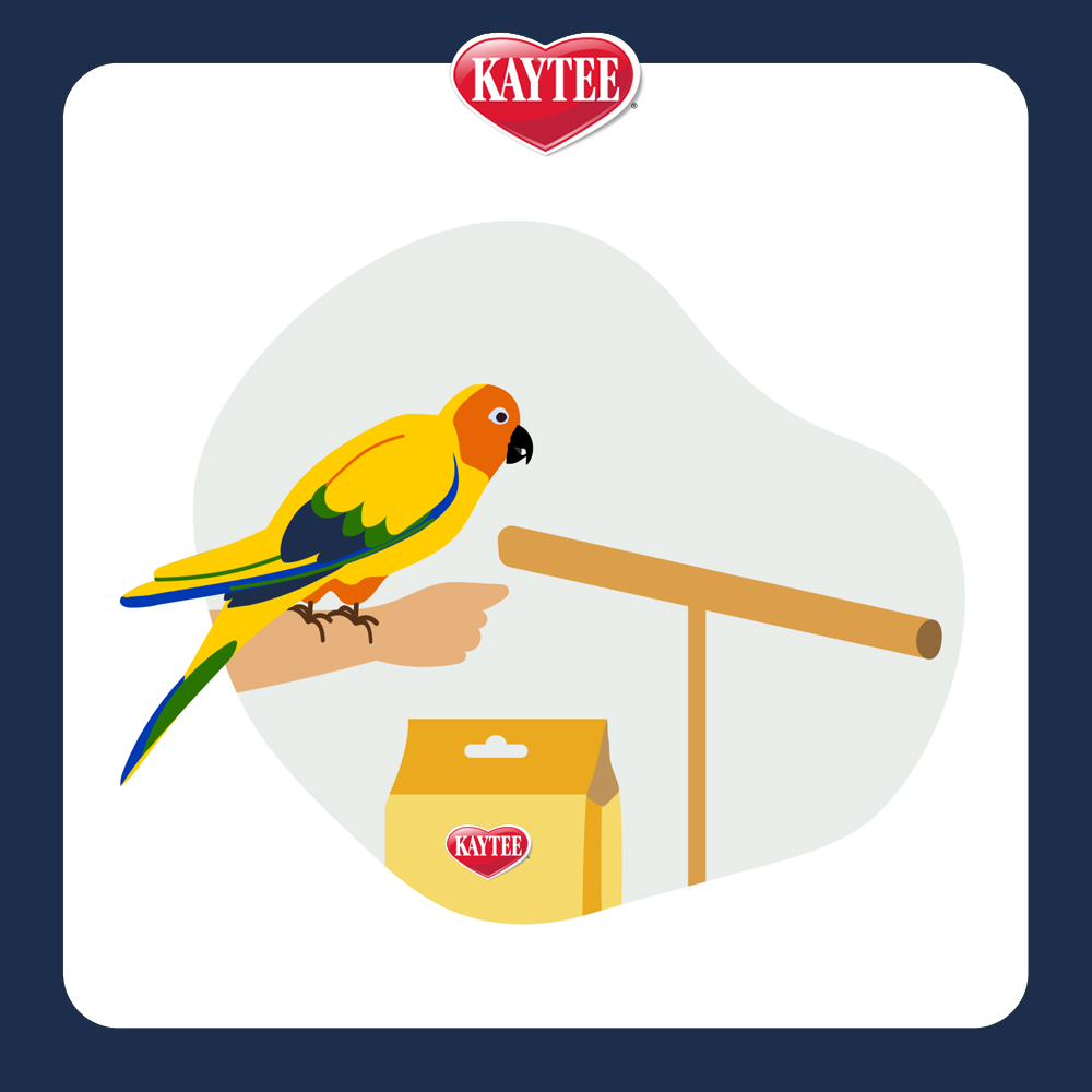 PB_BondingBits_LandingPage_LinkOut_GoToPerch_1000x1000