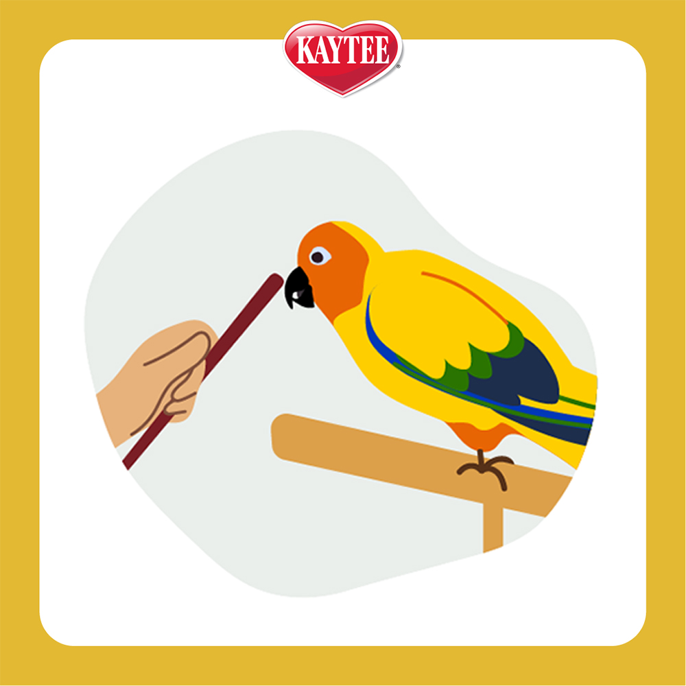 PB_BondingBits_LandingPage_LinkOut_TargetTrain_1000x1000