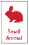 small-animals