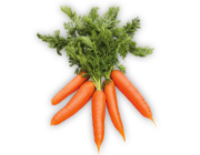 carrot-icon