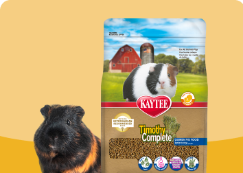 Timothy Complete Card