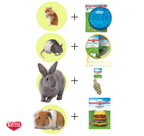 Small Animal Toys