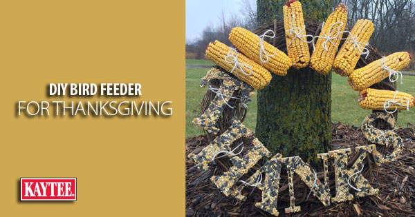 DIY Thanksgiving Bird Feeder Wreath