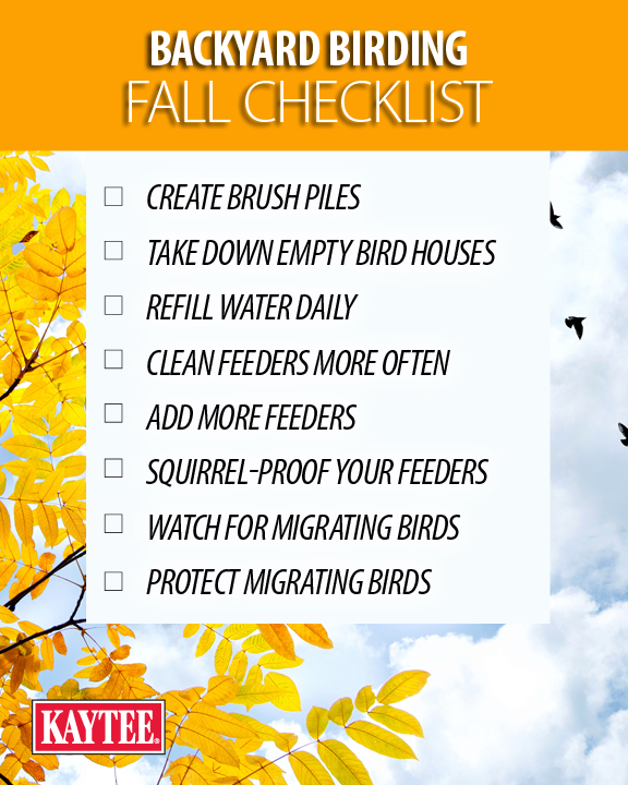 Backyard Birding Fall Checklist
