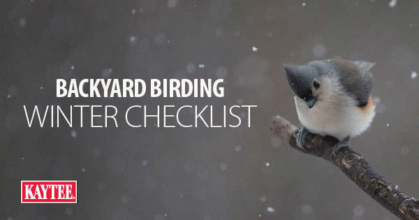 Backyard Birding Winter Checklist