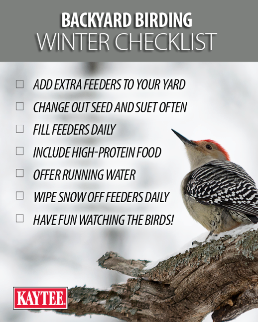Wild Bird Winter Checklist
