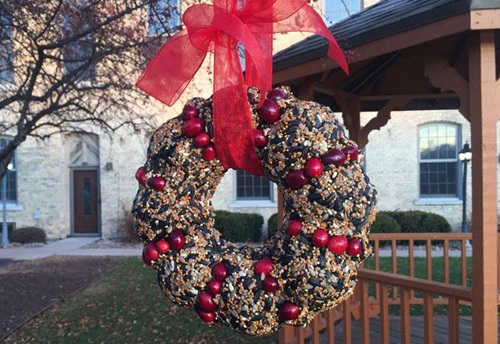 DIY Outdoor Holiday Bird Seed Wreath 
