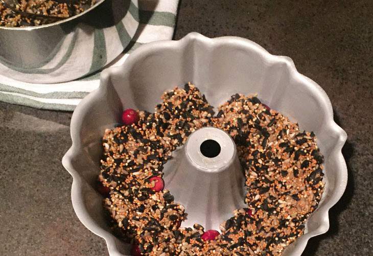 DIY Holiday Bird Seed Wreath
