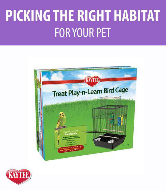 Kaytee walnut bird litter clearance