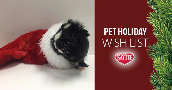 Pet Holiday Wish List