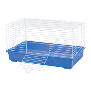 Kaytee Extra Large My First Home Cage
