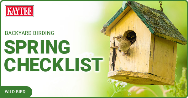 Backyard birding supplies 2025