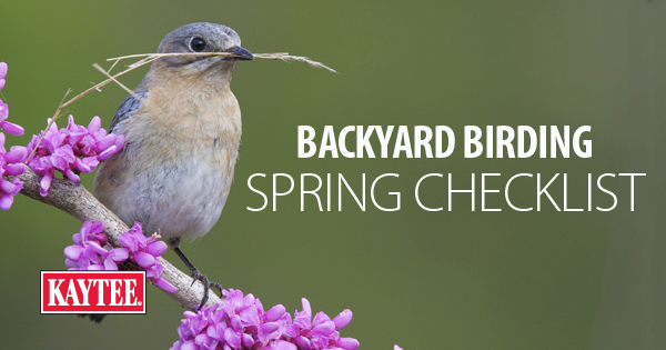 Backyard Birding Spring Checklist