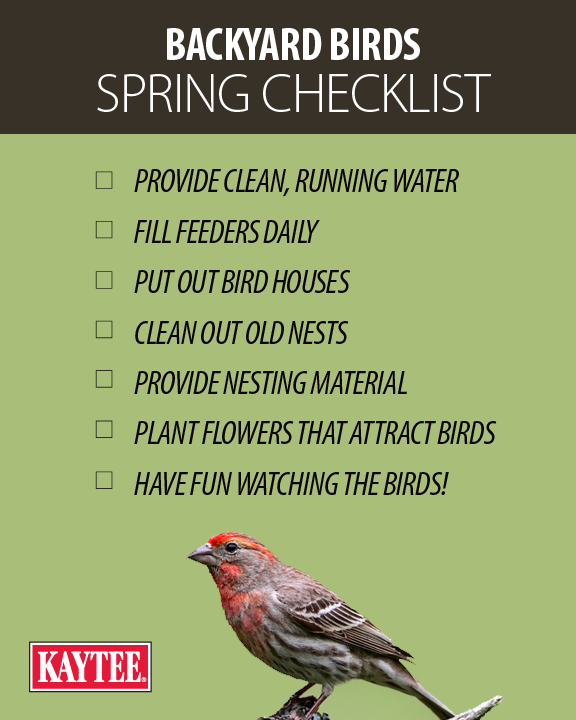 Backyard birding shop supplies