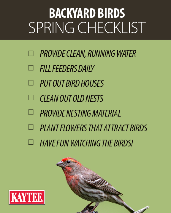 Spring Wild Bird Checklist