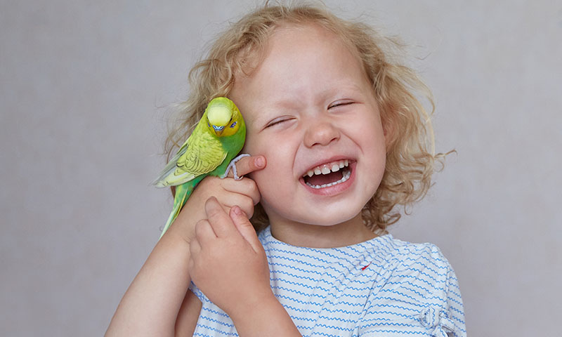how-can-i-bond-with-my-parakeet
