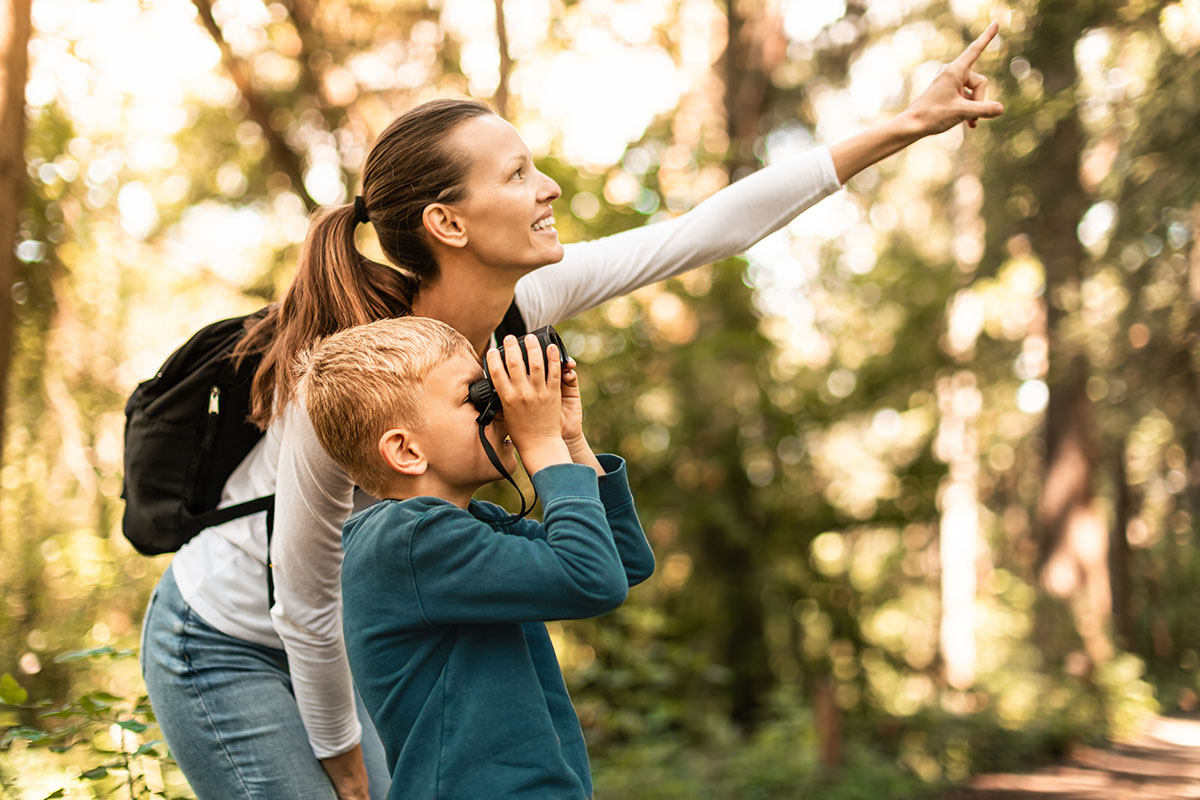 Bird watching is a hobby that can bring families closer and help improve mental health. 