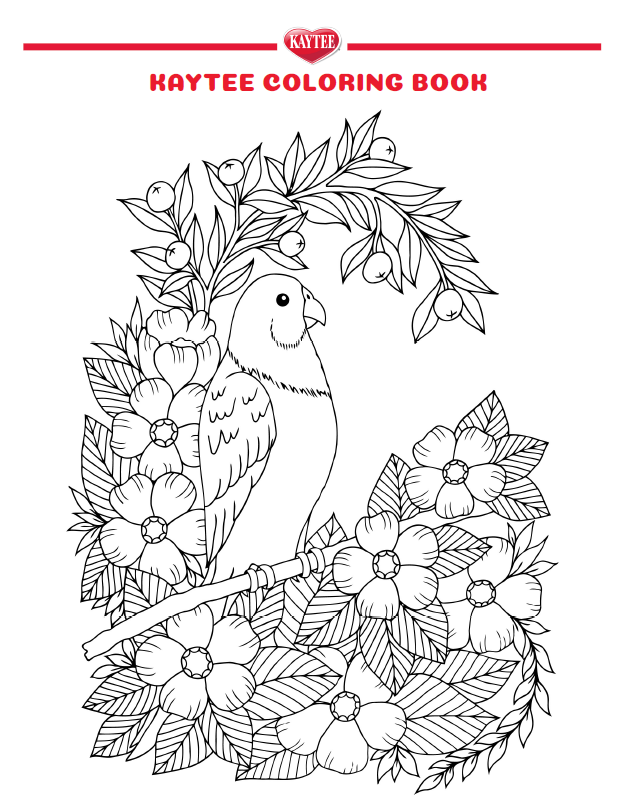 Kaytee Summer Coloring Page