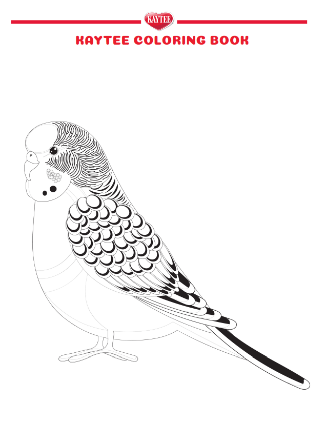 Kaytee Summer Coloring Page