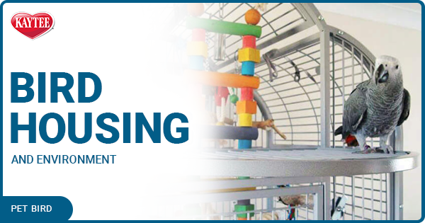 Kaytee Pet Bird Housing and Environment