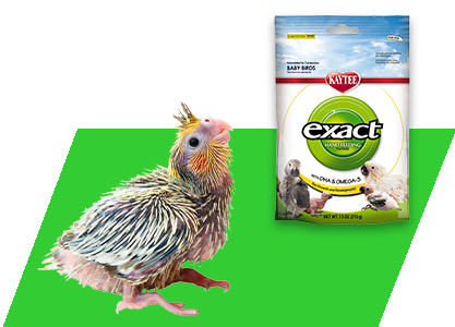 Kaytee Exact Baby Birds