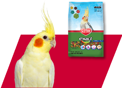 Kaytee Exact Cockatiel