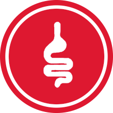 Red and White Digestion Icon