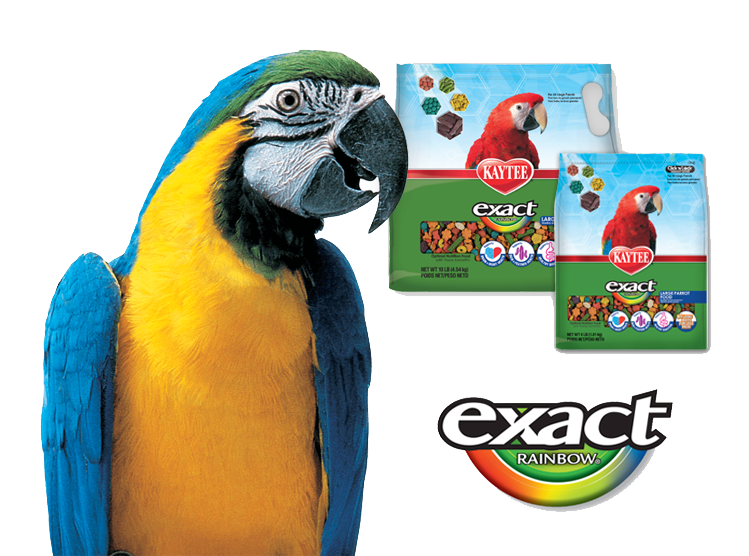 Kaytee Exact Bird Food