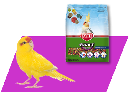Kaytee Exact Fusion