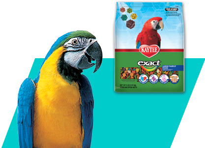 Kaytee Exact Large Parrot