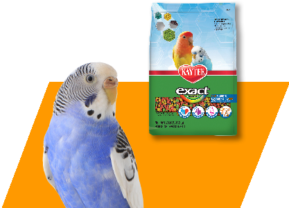 Kaytee Exact Parakeet & Lovebird