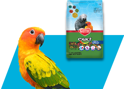 Kaytee Exact Parrot Canure