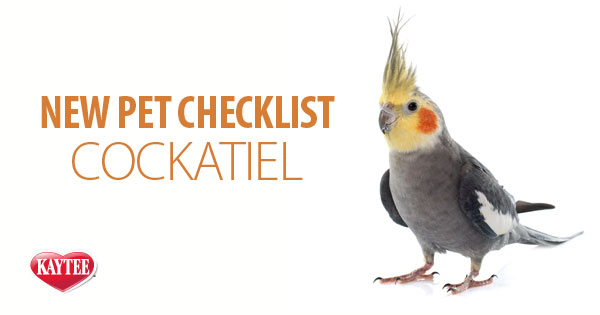 New Pet Cockatiel Checklist