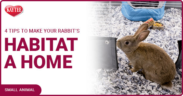 4 Tips to Make Your Rabbit’s Habitat A Home | Kaytee