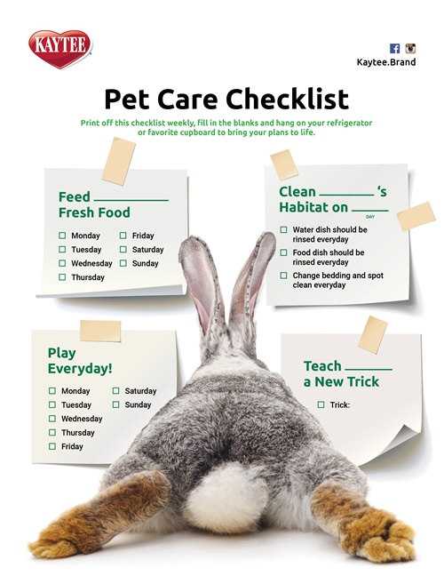 Kaytee Blog Pet Care Checklist 
