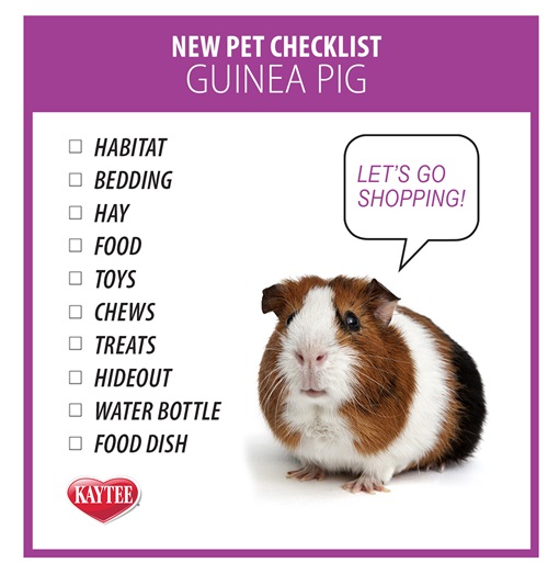 Kaytee New Guinea Pig Checklist 